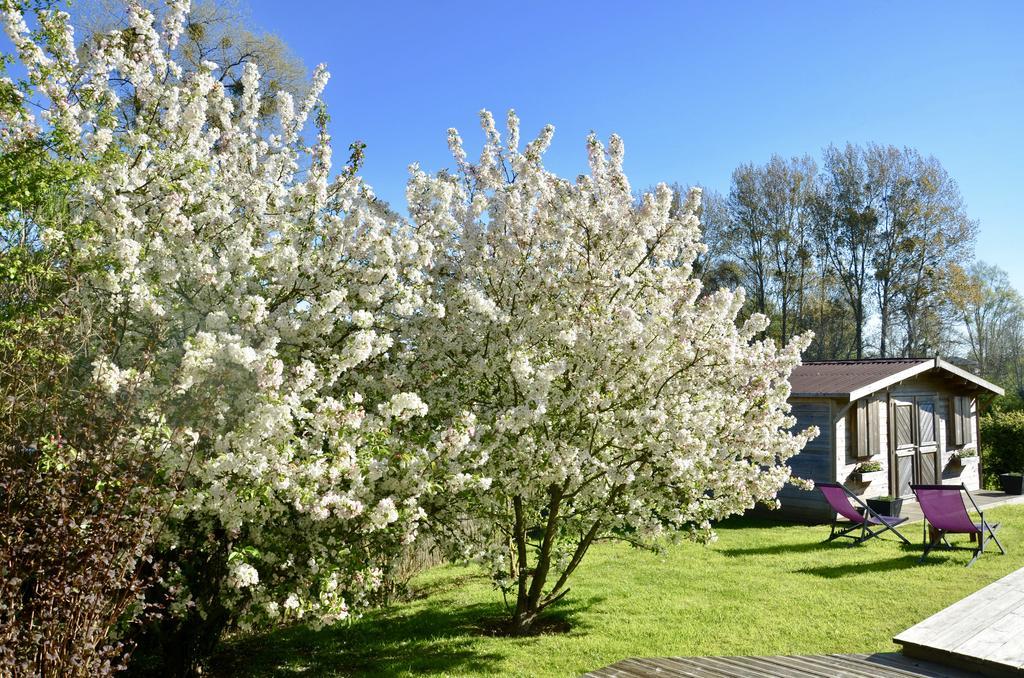 La Villa Belle Eksteriør billede
